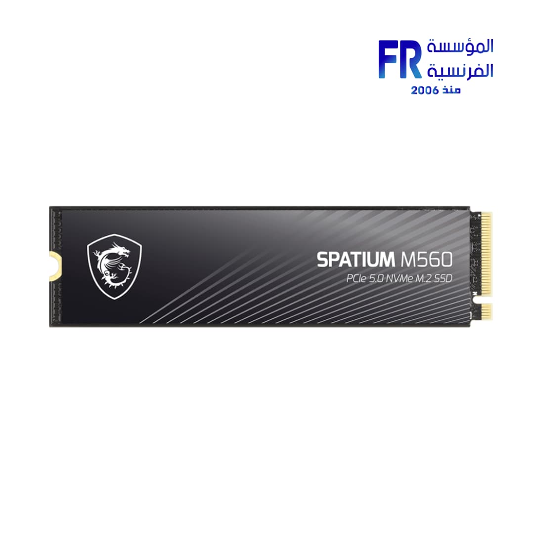 هارد ام اس اي Spatium M560 سعة 1TB PCIe 5 Nvme M.2 SSD