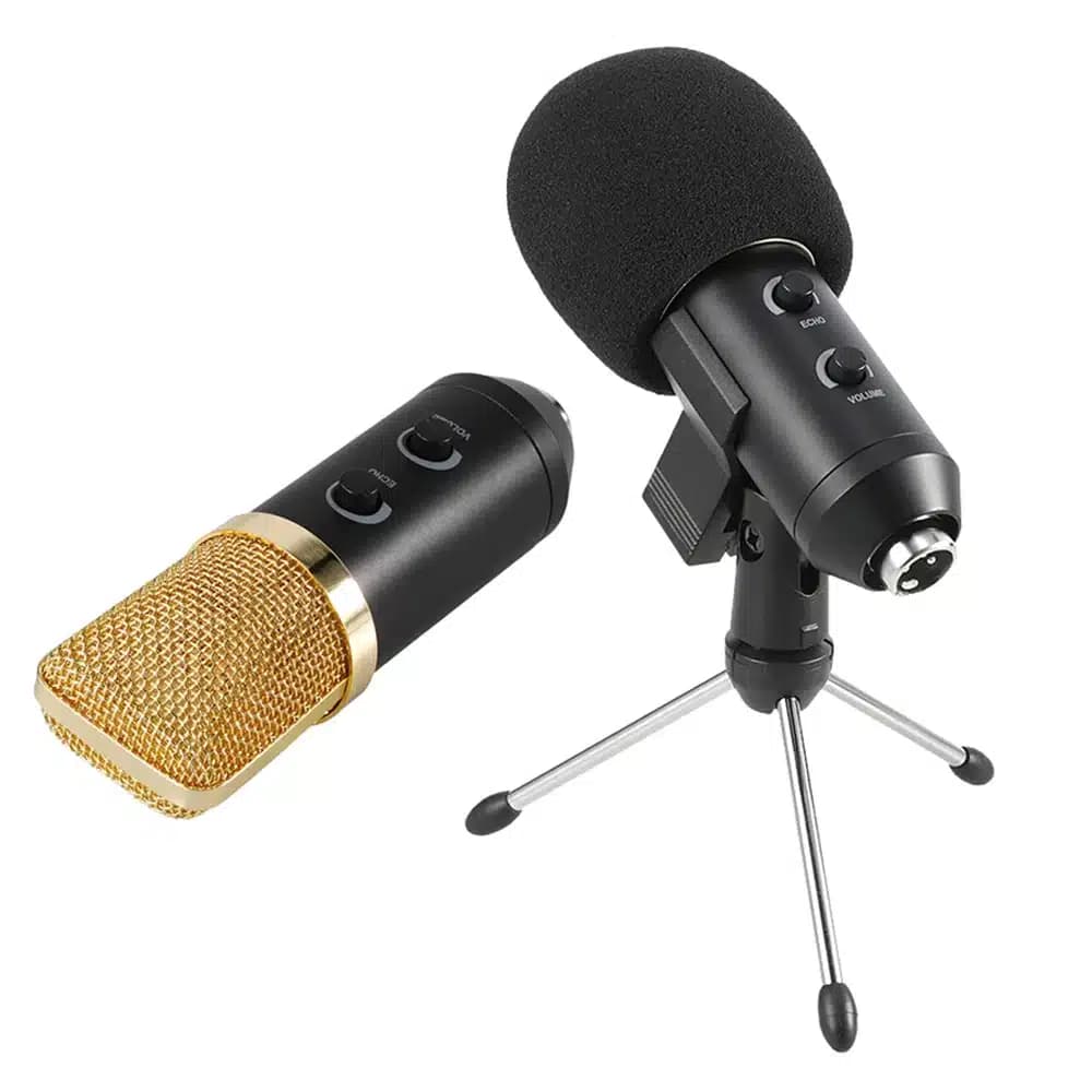 MIC CONDENSER BM100 FX