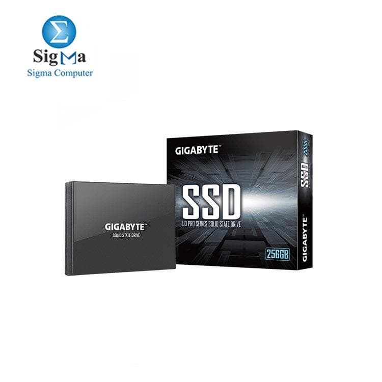 Gigabyte UD PRO 256GB SSD SATA 6.0Gb/s