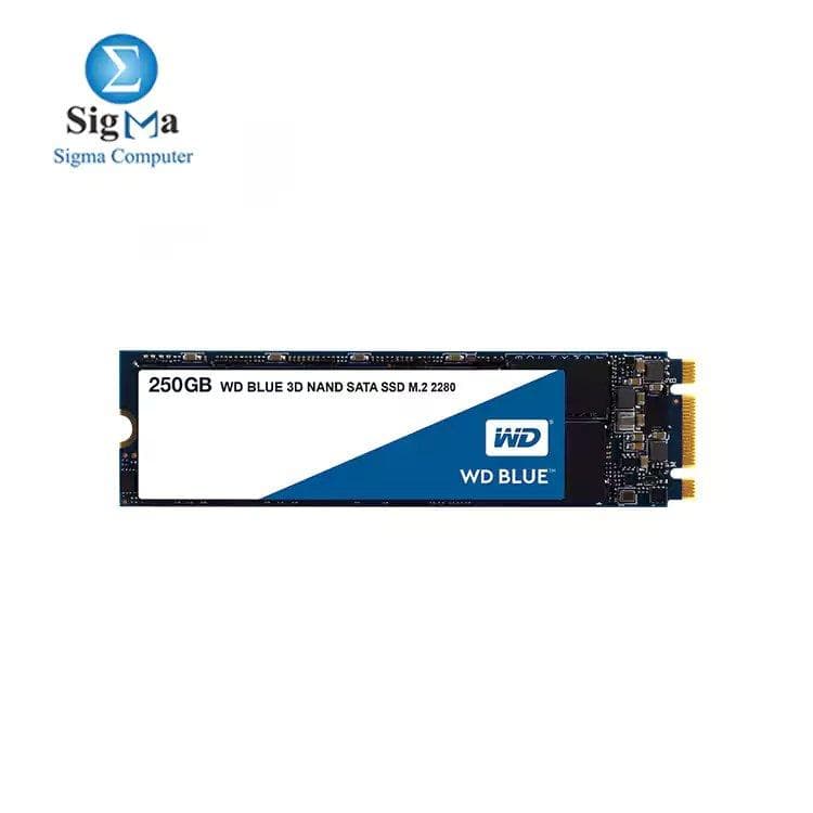 ويسترن ديجيتال Blue هارد SSD داخلي سعة 250GB بتقنية 3D NAND مقاس M.2