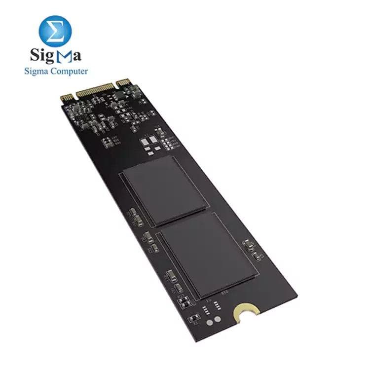 هيكفيجن E100N هارد SSD سعة 256GB بمنفذ M.2