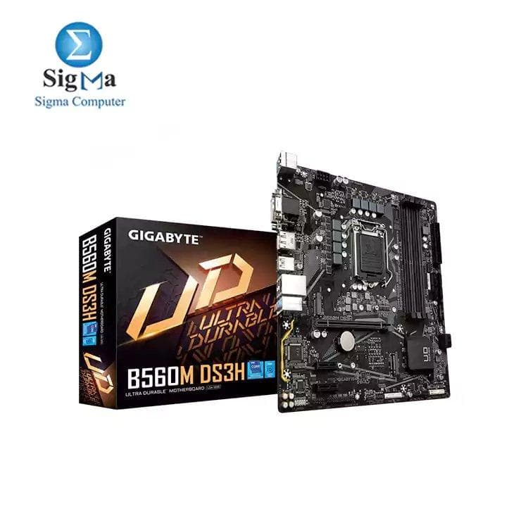 GIGABYTE B560M DS3H (rev. 1.0)