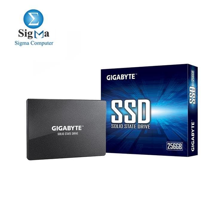 جيجابايت هارد SSD 256GB مقاس 2.5 بوصة داخلي