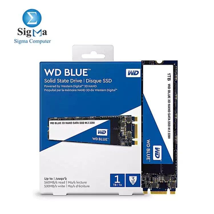ويسترن ديجيتال Blue هارد SSD داخلي سعة 1TB بتقنية 3D NAND - SATA III 6Gb/s مقاس M.2 2280 - WDS100T2B0B