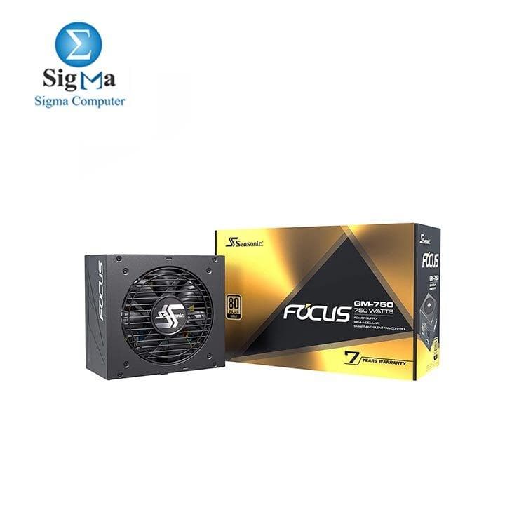 مزود طاقة Seasonic FOCUS GM-750 بقدرة 750 وات 80+ Gold، شبه موديلر