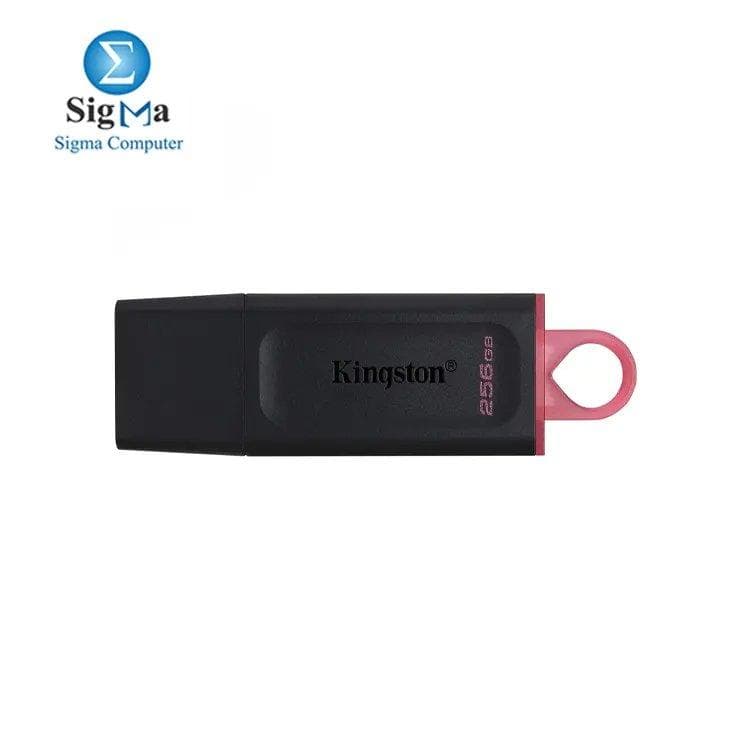 فلاش ميموري كينجستون DataTraveler Exodia 256GB USB 3.2 USF-KG-256G-DTXM