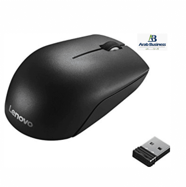 LENOVO 300 WIRELESS COMPACT MOUSE
