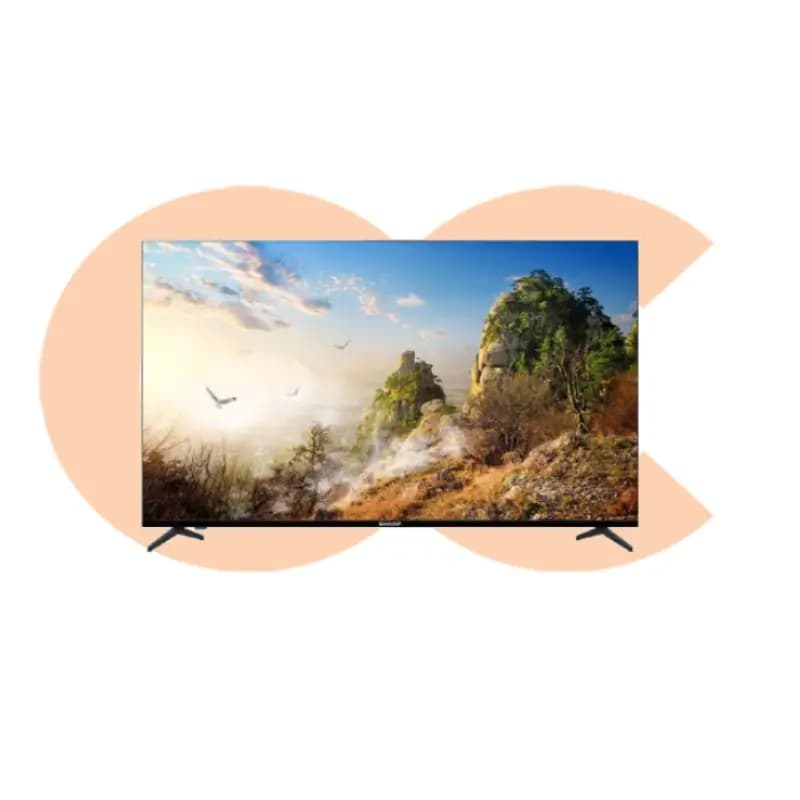 Sharp 65 Google Ultra HD 4T TV – C65FJ16EX