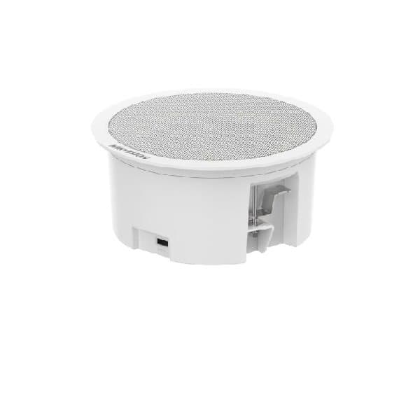 Hikvision DS-QAZ0203G1-S – Audio Products
