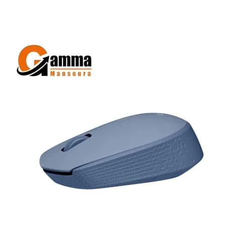 Logitech M171 Wireless Mouse Blue Gray