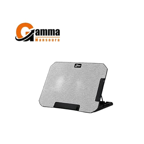 ZR650 Laptop Cooling Ergo Stand with Adjustable Dual Fans for Laptops up to 17-inch