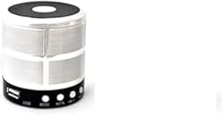 Mini Bluetooth Speaker WS-887 (Silver)