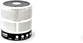 مكبر صوت بلوتوث صغير WS-887 (فضي)، سلكي