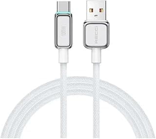ريتشي RS42C كابل USB إلى C بشاشة عرض وشحن سريع 100 وات PD - فضي