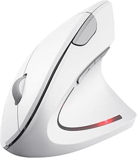 Ergonomic Vertical Wireless Mouse, Lightweight Optical Mouse with LED Light, Cute Wireless Mouse for Laptop, PC, Mac, Office Gift for Girls Boys Adults, 800/1200/1600 DPI, 6 Buttons White