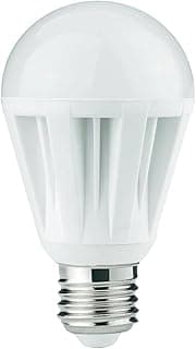 Wellmax Set of 10 led lamps e27-12 watt, 220 volt, white