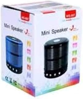 Mini Bluetooth Speaker WS-887 with FM Radio, Memory Card Slot, USB Pen Drive Slot, AUX Input Mode