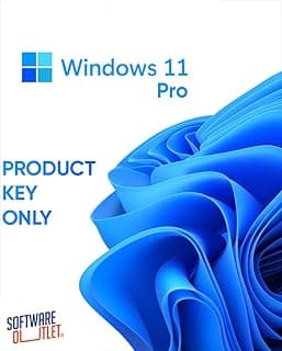Windows 11 Pro for 1 PC [Product Key Only]