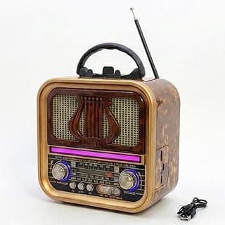 راديو خشبي أنيق، 3 نطاقات (AM-FM-SW)، يدعم البلوتوث، USB، وبطاقة TF، مع مدخل شحن DC وبطارية قابلة لإعادة الشحن | RX-740D (ذهبي)