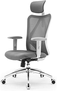 Reyad Group M18 Ergonomic Office Chair, Computer Desk Chair with Adjustable Headrest and Lumbar Support, High Back Executive Swivel Chair for Home Office (Dark Gray)