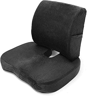 Back Support Cushion with Foam Seat to Relieve Pain