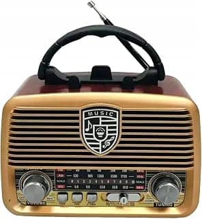 Radio and Speaker, 3 Bands (AM-FM-SW), Supports Bluetooth, USB, TF Card, AUX Input, DC Input, and Rechargeable Battery | ICF-F24 (golden)