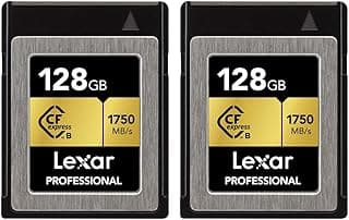كارت ذاكرة احترافي LCFX10-128CRBNA سعة 128GB نوع CFexpress CFX Type B عدد 2