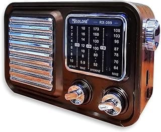 راديو محمول احترافي 3 نطاقات AM/FM/SW، مشغل موسيقى خارجي، يدعم USB/TF/راديو/BT، منفذ Type C (RX-399)