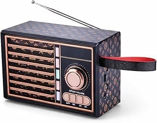 Portable Bluetooth Speaker with FM Radio, RGB Disco Light Wireless Speaker, Hands Free Call, AUX TF Card Support, High Sensitivity Antenna (Gold)