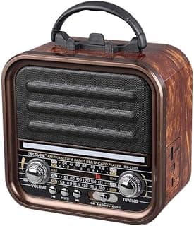 راديو خشبي أنيق، 3 موجات (AM-FM-SW)، يدعم بلوتوث، USB، وكارت TF، مع مدخل شحن DC وبطارية قابلة للشحن | RX-720D (بني)