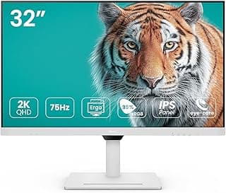 بين كيو GW3290QT 80.01 سم (31.5 انش) IPS