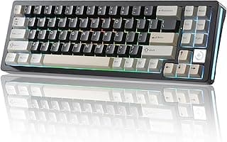 AL71 68% Mechanical Keyboard, All-Aluminium CNC, Hot-Swap Ring, 2.4GHz Wireless BT5.0/USB-C Cable Gaming Keyboard, NKRO RGB, for Win/Mac (Black, Crystal White Switch)