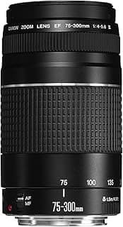 Canon EF 75-300mm f/4-5.6 III Telephoto Zoom Lens for Canon SLR Cameras