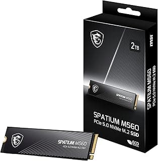 MSI سباتيوم M560 منفذ الملحقات الإضافية السريع 5.0 الذاكرة المستديمة M.2 2TB