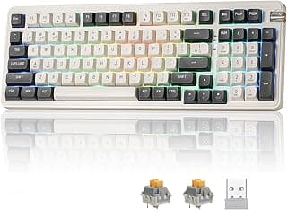 كيبورد ميكانيكي لاسلكي DF98 مع 3 أوضاع بلوتوث/2.4 جيجاهرتز/USB-C بحشية ار جي بي قابلة للتبديل السريع مع مفتاح أصفر خطي مشحم مسبقًا/98 مفتاح للاب توب/التابلت/البلاي ستيشن/اكس بوكس من دارك فلاش (رمادي)