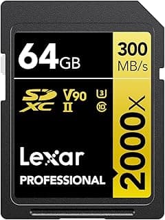 Professional 2000x SD Card 64GB, SDXC UHS-II Memory Card, Up to 300MB/s Read, for DSLR, Cinema-Quality Video Cameras (LSD2000064G-BNNAG)