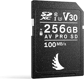 كارت ذاكرة AV PRO SD V30 سعة 256 جيجابايت - SDXC UHS-I - يدعم حتى 6K - للتصوير اليومي
