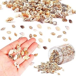 مجموعة صدف شاطئ حلزوني صغير مختلط بوزن 400 جرام تستخدم لديكور المنزل وللحفلات ذات الطابع المحيطي ولصنع الشموع وديكور الزفاف والحرف اليدوية التي تصنعها بنفسك وتزيين حوض الاسماك والفازات (5-12 ملم)