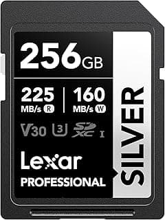 256GB Professional Silver SDXC Memory Card, UHS-I, C10, U3, V30, 4K Video, Up to 205/140 MB/s Read/Write, for Professional Photographer, Videographer, Enthusiast (LSDSILV256G-BNNNU)