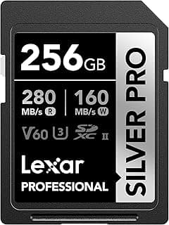 Professional 256GB Silver PRO SDXC UHS-II Memory Card, C10, U3, V60, Full-HD & 4K Video, Up to 280MB/s Read, for Professional Photographer, Videographer, Enthusiast (LSDSIPR256G-BNNNU)