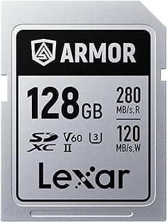 كارت ذاكرة 128GB Armor Silver PRO SDXC، UHS-II، C10، U3، V60، 6K UHD، سرعة قراءة تصل إلى 280MB/s، ستانلس ستيل، للمصورين المحترفين (LSDAMSP128G-RNNNU)