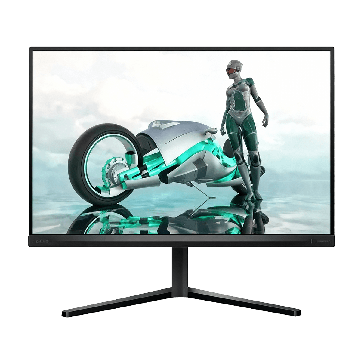 Philips Evnia 27M2N3500PA 27″ QHD Fast IPS 260Hz OC daptiveSync with Ergo Stand & Built-in Speaker Gaming Monitor