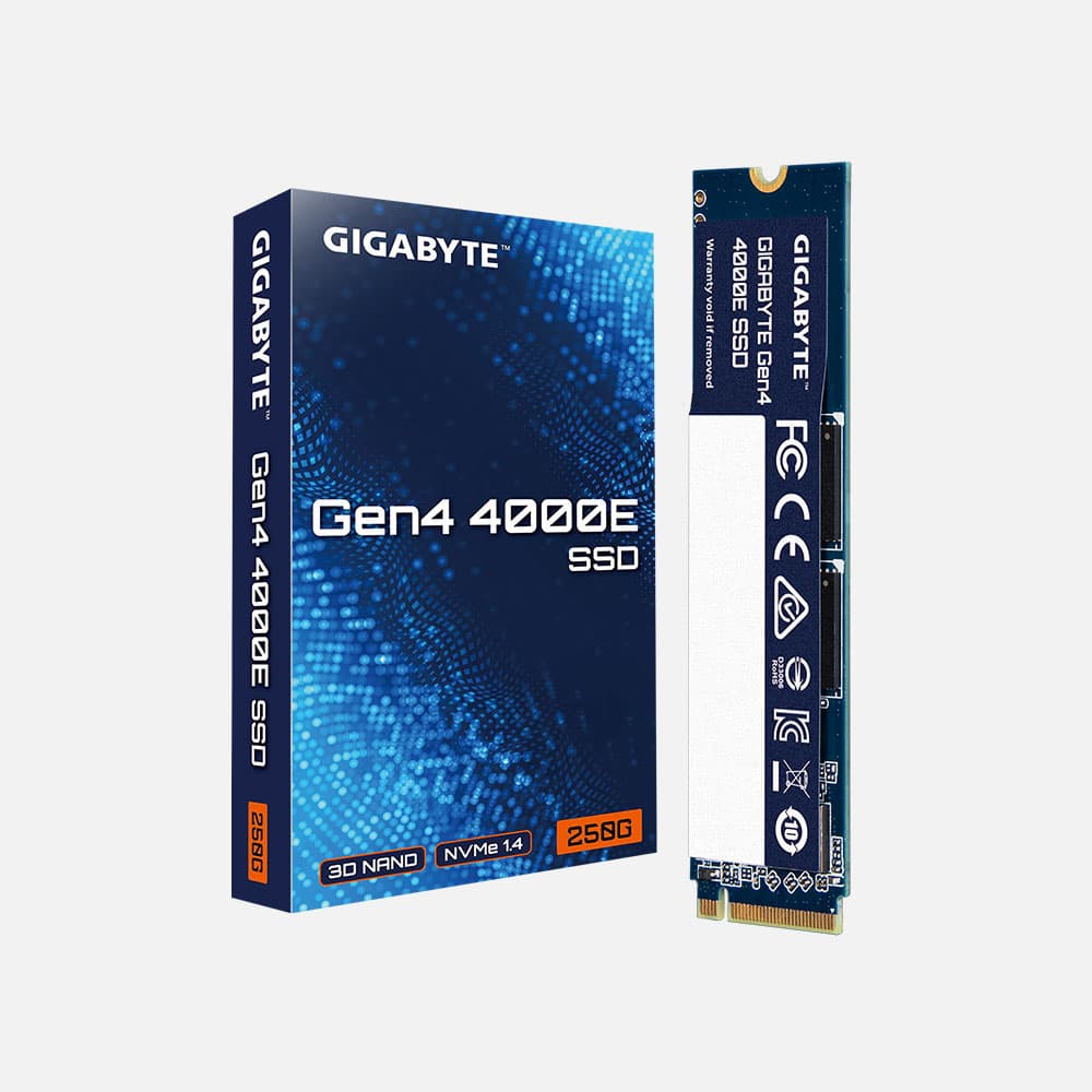 GIGABYTE-SSD G440E250G M2 250GB